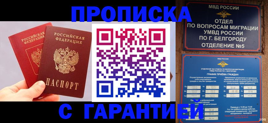 прописка 2025 в Торопеце
